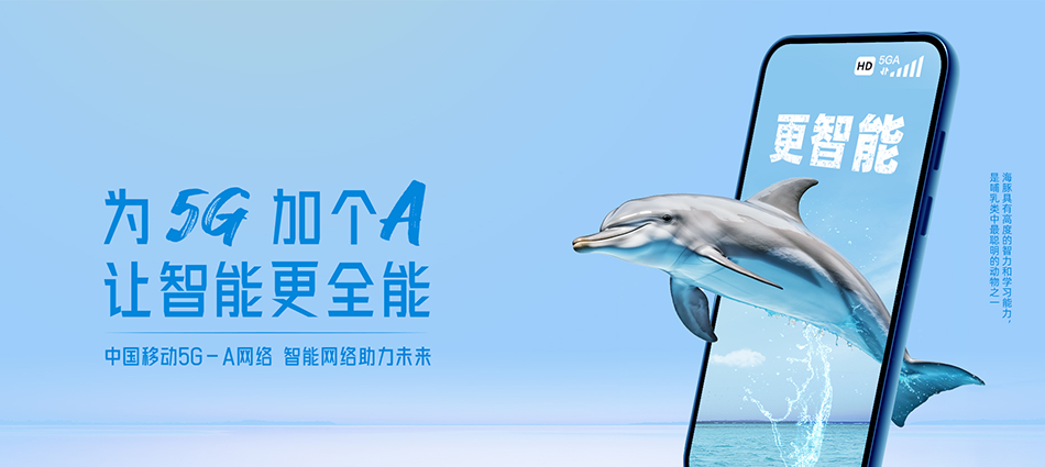 中国移动阳原县移动宽带
